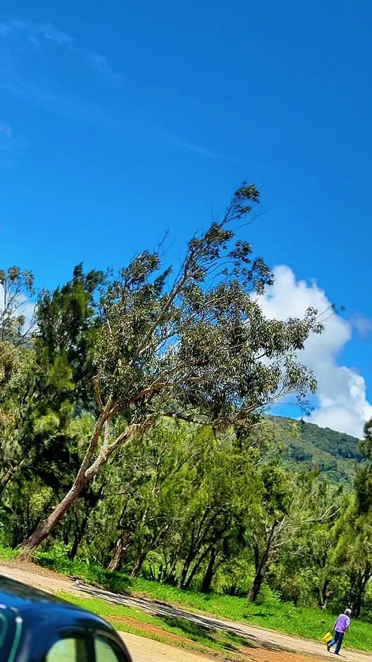 TikTok video thumbnail by jemm_jl