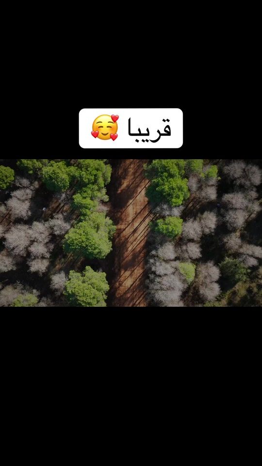 TikTok video thumbnail by hama.bachir