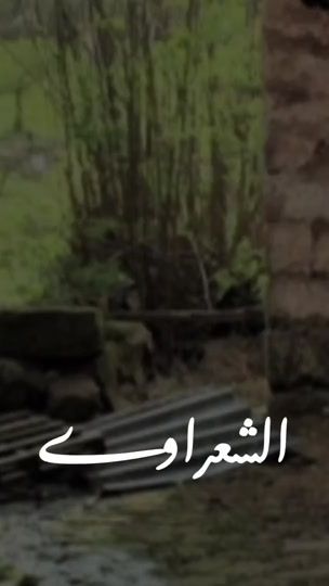 TikTok video thumbnail by alshaarawi200