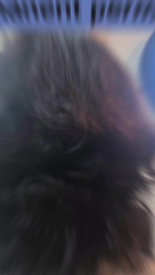 TikTok video thumbnail by sonam.choden6646