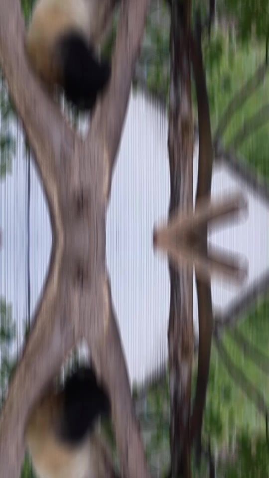 TikTok video thumbnail by gutrc32