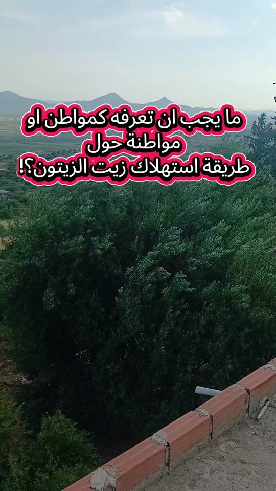 TikTok video thumbnail by lenartaki1992