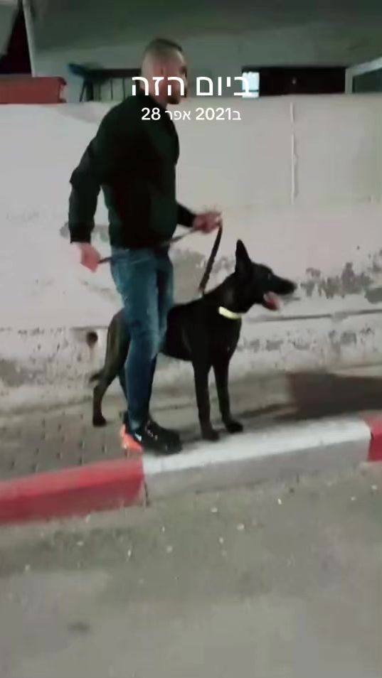 TikTok video thumbnail by othman_jaber