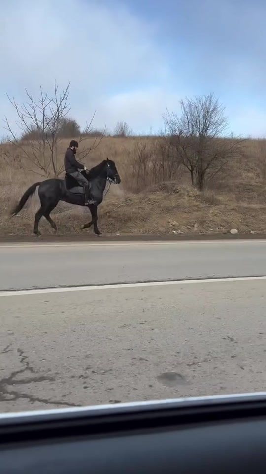 TikTok video thumbnail by yorga.atlar1