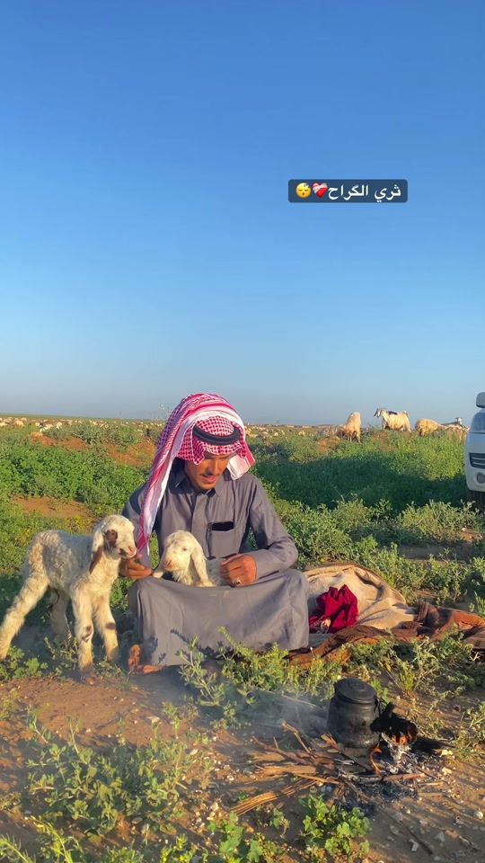 TikTok video thumbnail by cmr_6