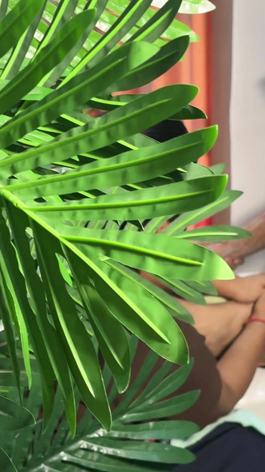 TikTok video thumbnail by meroshringar