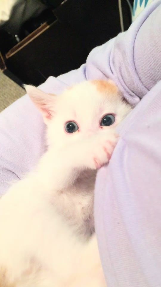 TikTok video thumbnail by noridaoficial