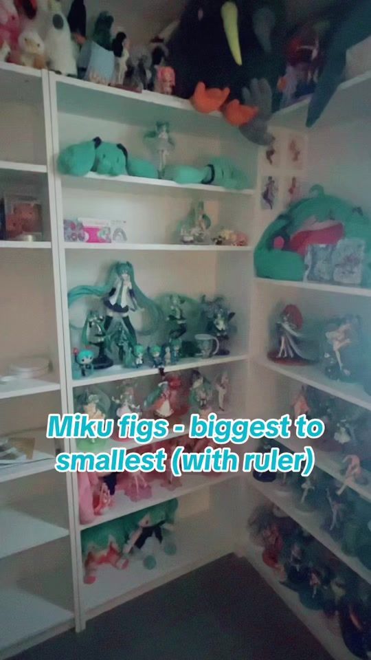 TikTok video thumbnail by solariscollects