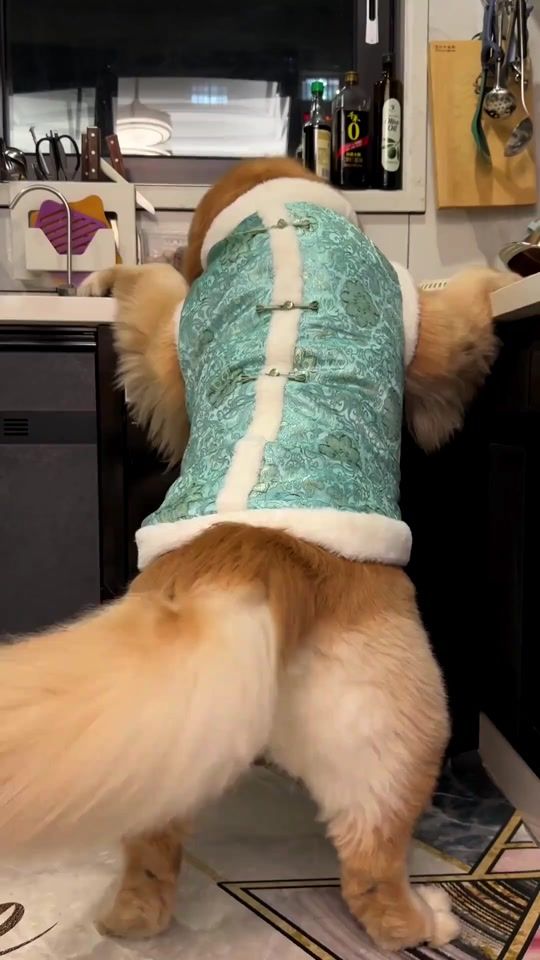 TikTok video thumbnail by jodanstore