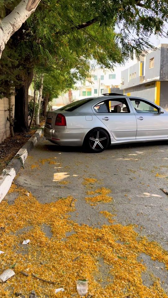 TikTok video thumbnail by mohammadkald