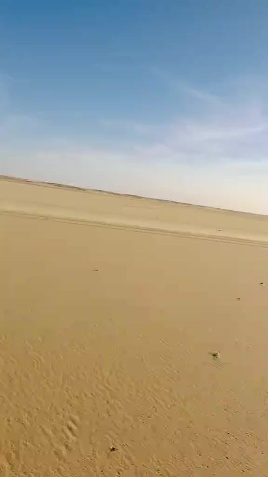 TikTok video thumbnail by kochimidowla