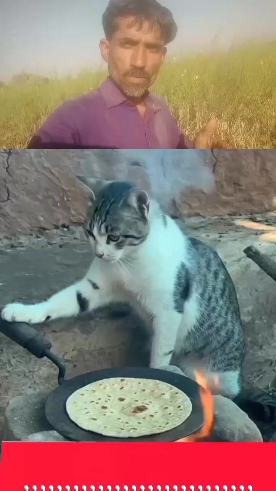 TikTok video thumbnail by fidaofficial8