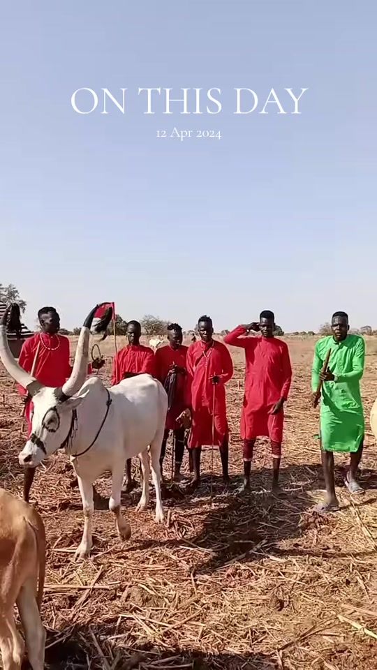 TikTok video thumbnail by akolden5