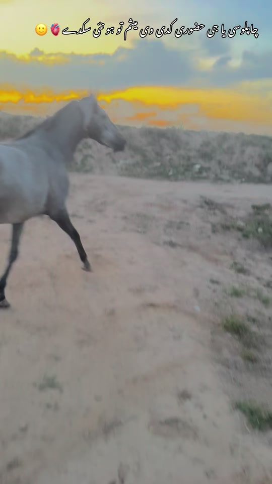 TikTok video thumbnail by umairwahla10