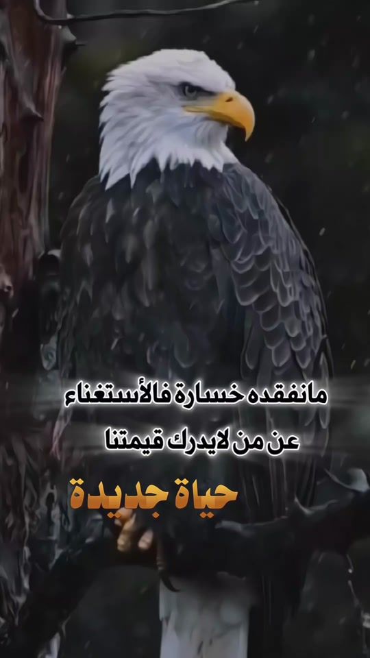 TikTok video thumbnail by hassan_9s