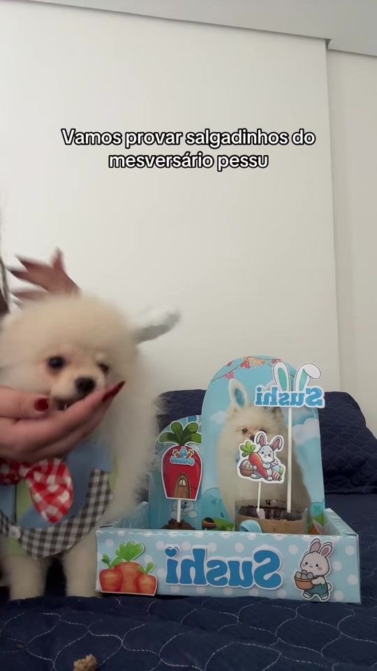 TikTok video thumbnail by saqueinfamily
