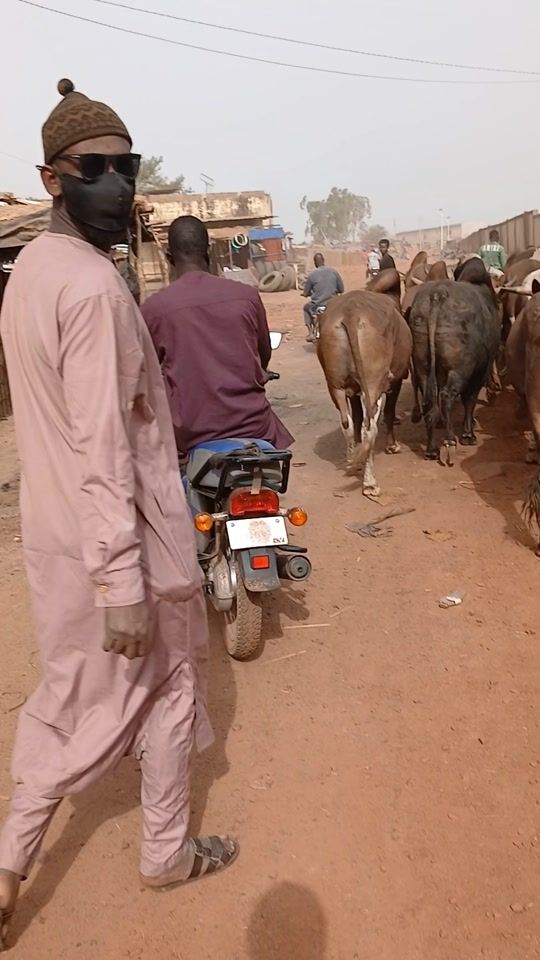 TikTok video thumbnail by sidi.cfa95