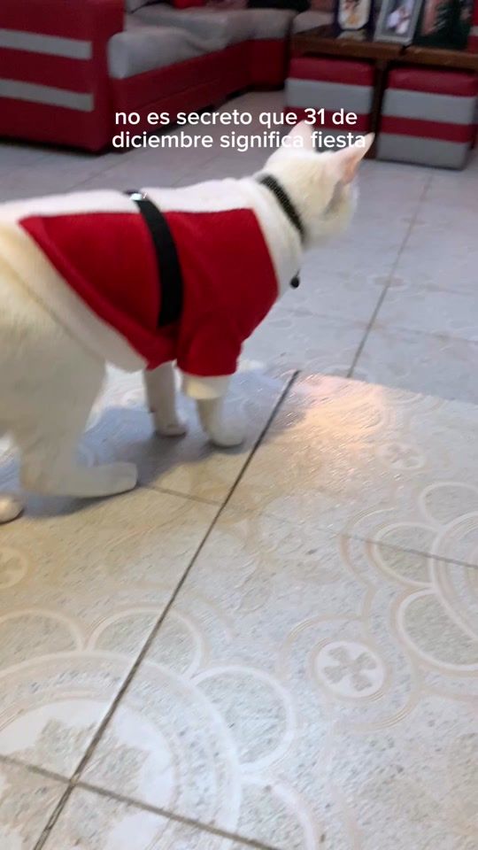 TikTok video thumbnail by keylaarelis