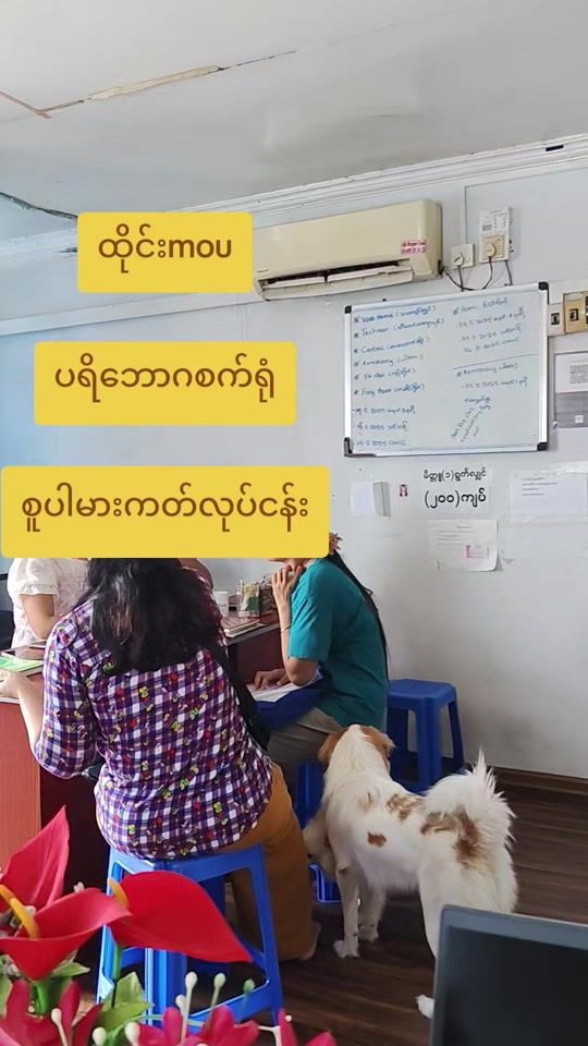 TikTok video thumbnail by shwe.zin.oo143