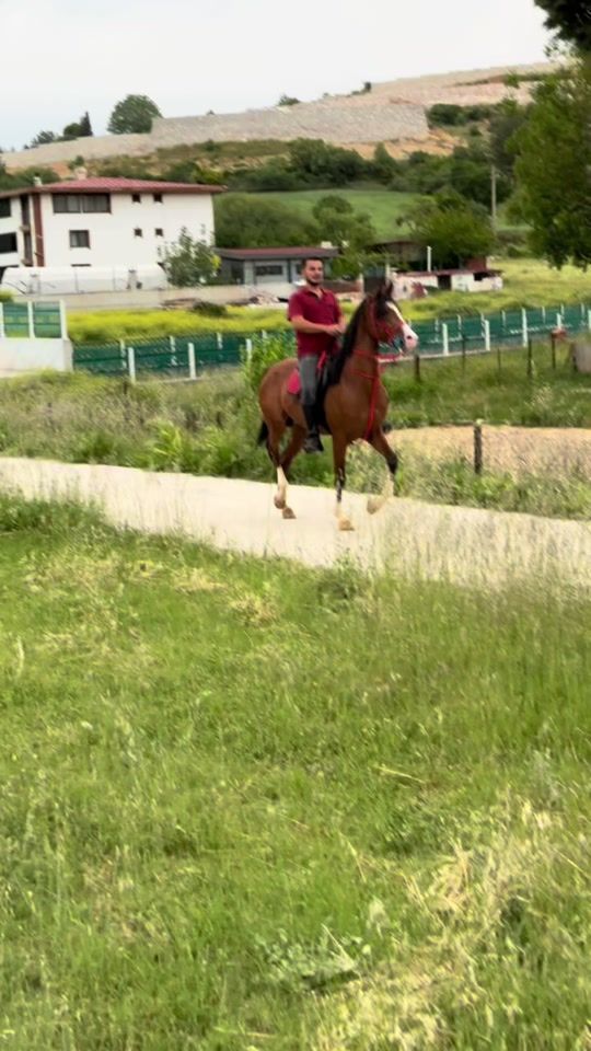 TikTok video thumbnail by veli_tasavli
