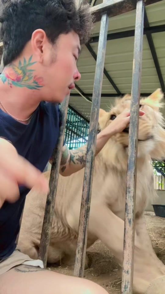TikTok video thumbnail by orapanning8
