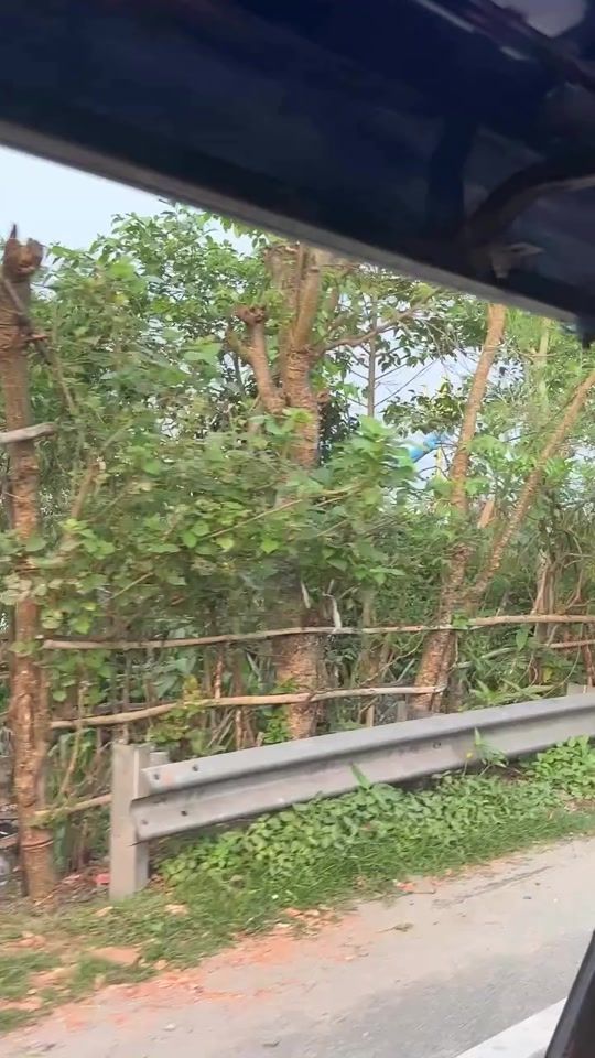 TikTok video thumbnail by goif....3310_0