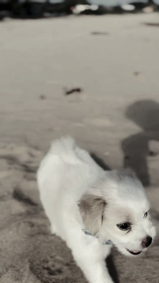 TikTok video thumbnail by bobby__12r