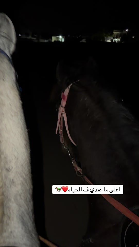 TikTok video thumbnail by o._m35
