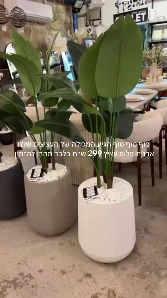 TikTok video thumbnail by tut_etz