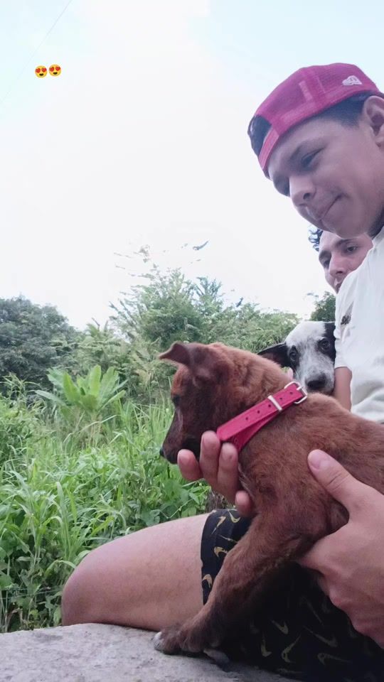 TikTok video thumbnail by riverita358