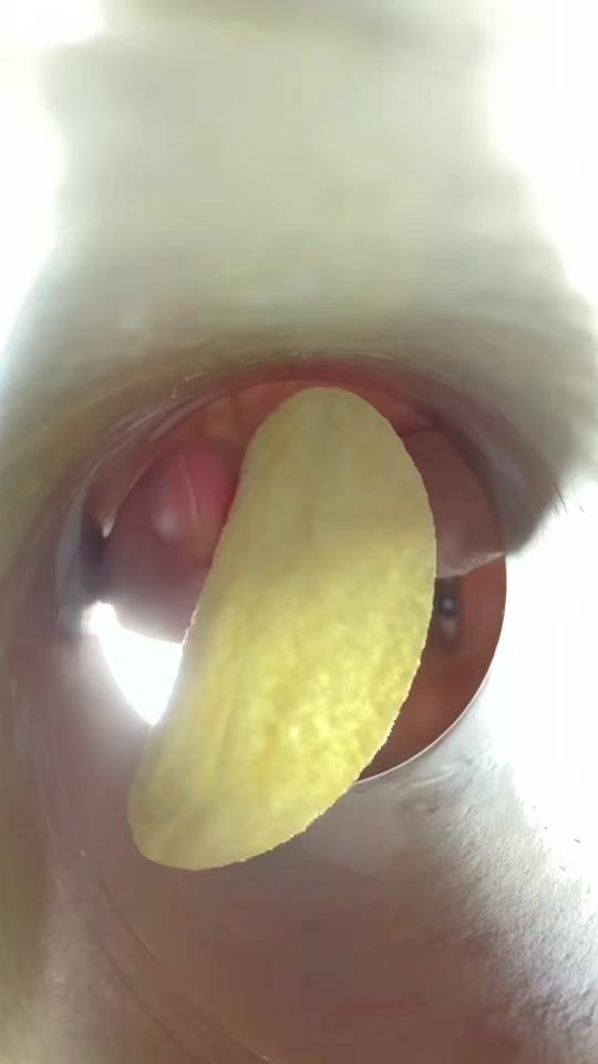 TikTok video thumbnail by firstkidstv