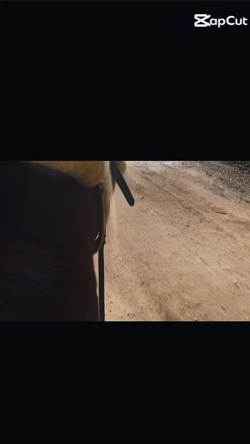 TikTok video thumbnail by dewansahel