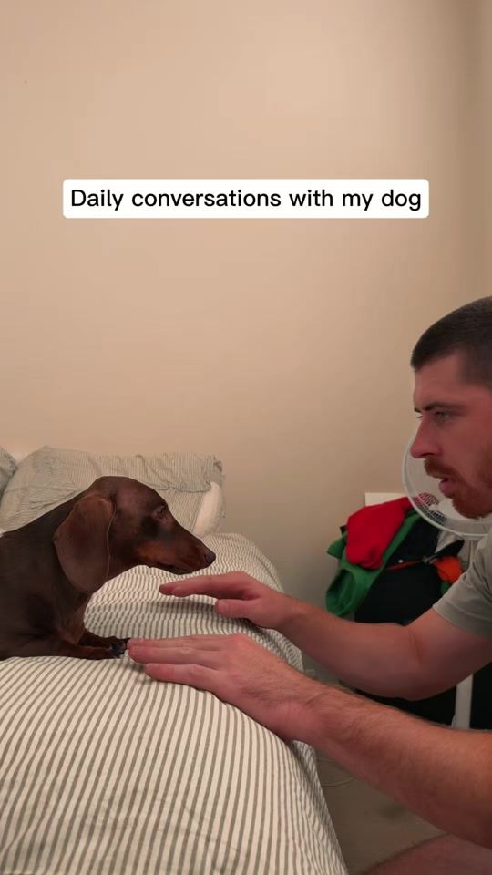 TikTok video thumbnail by darcyanddad