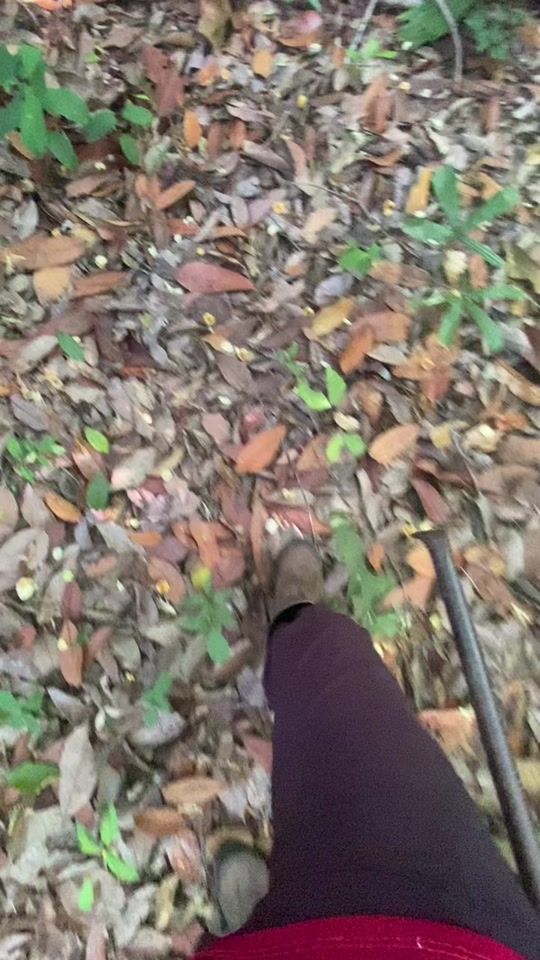 TikTok video thumbnail by kicapp____