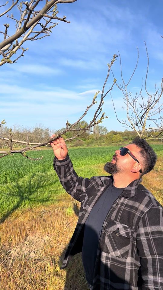 TikTok video thumbnail by interesting_walnuts