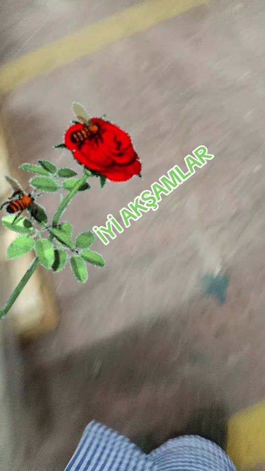 TikTok video thumbnail by gamzelim722