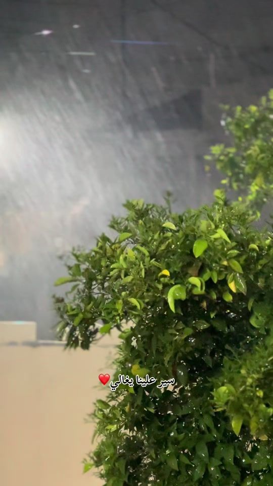 TikTok video thumbnail by 9se67