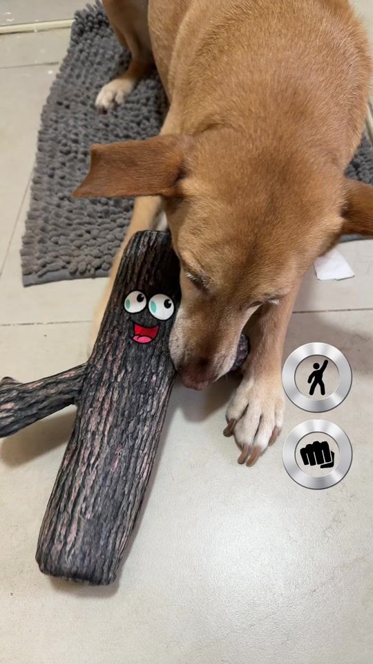 TikTok video thumbnail by dor2dogs