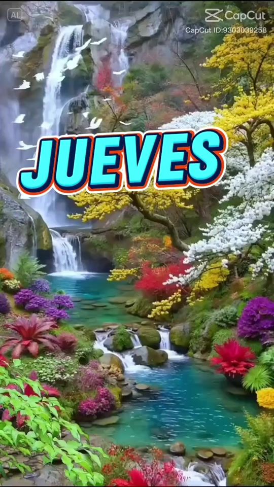 TikTok video thumbnail by ana.barbara366