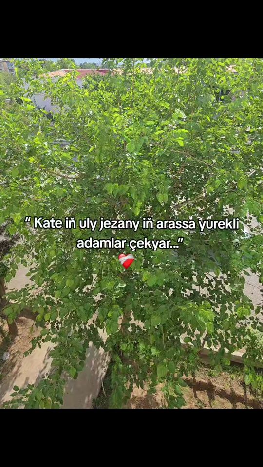 TikTok video thumbnail by real_gazak