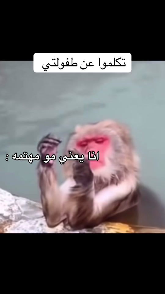 TikTok video thumbnail by liux48