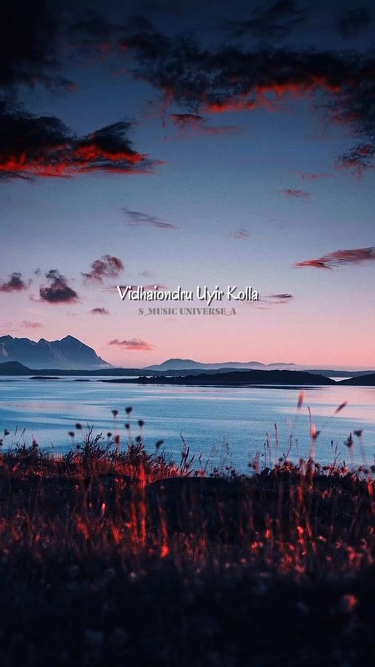 TikTok video thumbnail by musicunivers01