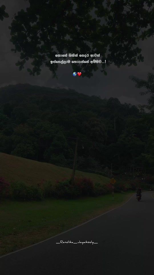 TikTok video thumbnail by _vibe_status