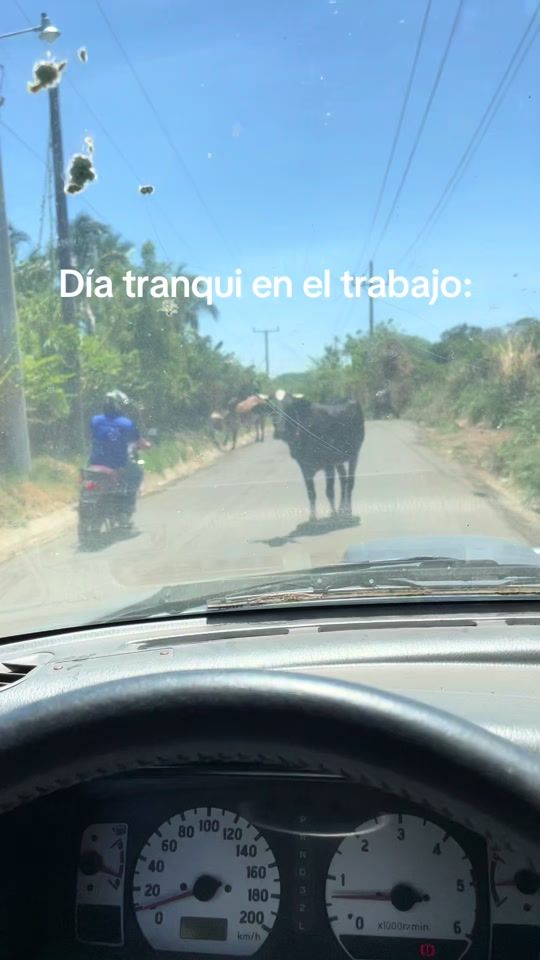 TikTok video thumbnail by moe.campos03