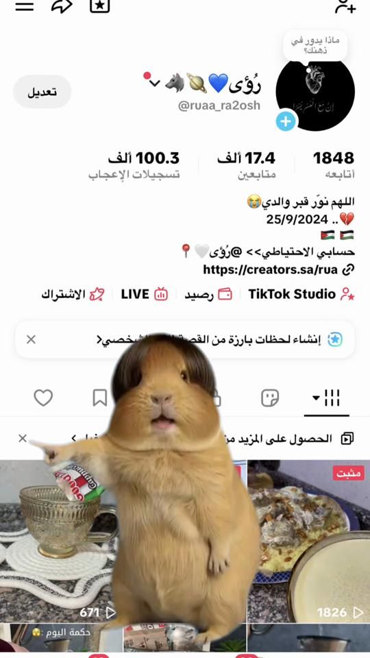 TikTok video thumbnail by ruaa_ra2osh
