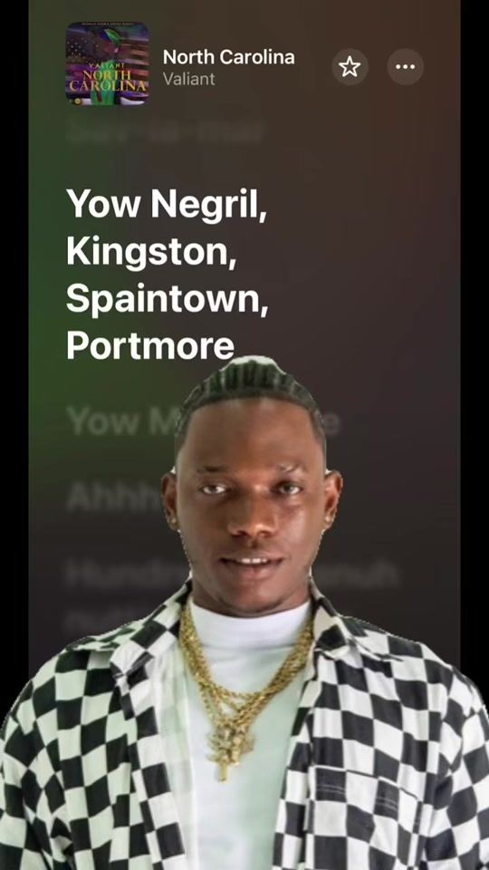 TikTok video thumbnail by lion_6ixx