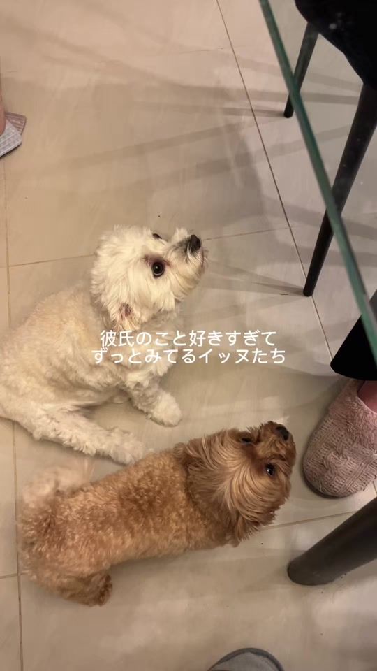 TikTok video thumbnail by shirochalife_