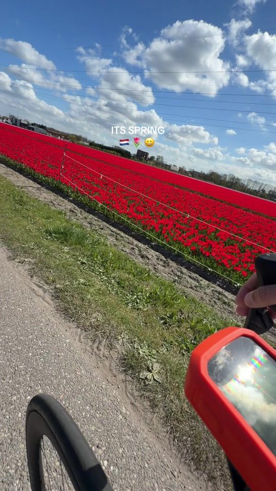 TikTok video thumbnail by jensvdvelden_