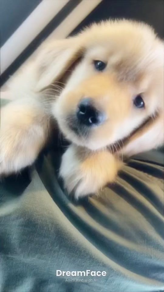 TikTok video thumbnail by yuka_ko92