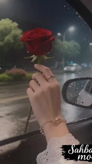 TikTok video thumbnail by sa7bat.mood